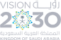 vision-logo